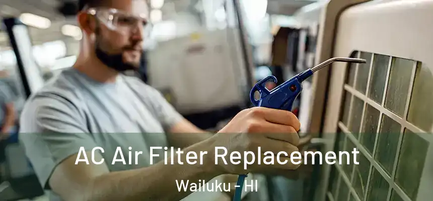  AC Air Filter Replacement Wailuku - HI