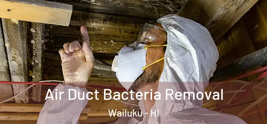  Air Duct Bacteria Removal Wailuku - HI