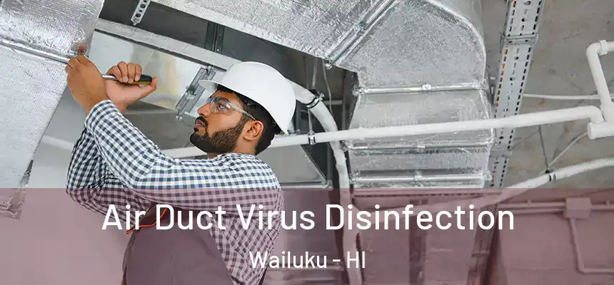  Air Duct Virus Disinfection Wailuku - HI