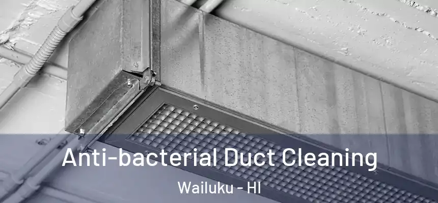  Anti-bacterial Duct Cleaning Wailuku - HI