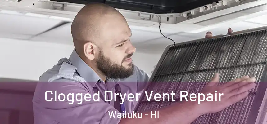  Clogged Dryer Vent Repair Wailuku - HI