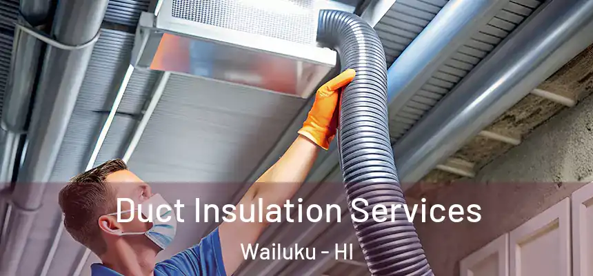  Duct Insulation Services Wailuku - HI