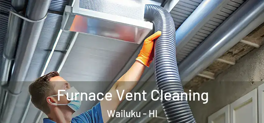  Furnace Vent Cleaning Wailuku - HI