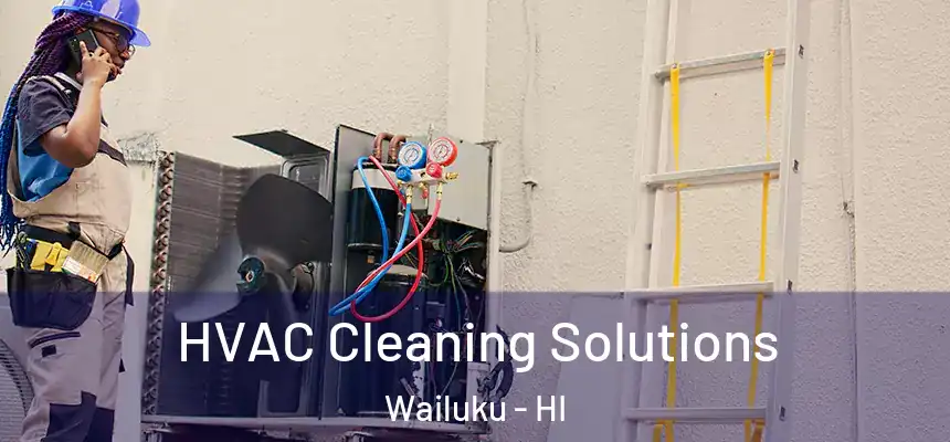  HVAC Cleaning Solutions Wailuku - HI