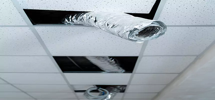 Affordable HVAC Sanitizing After Pest Removal in Wailuku