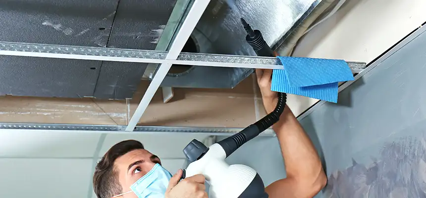 Our Air Duct Rodent Removal Services in Wailuku, HI