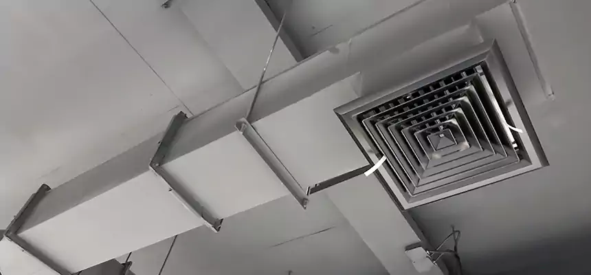 Our Rodent Droppings In Vents Services in Wailuku, HI