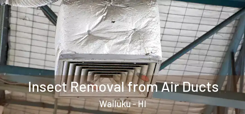  Insect Removal from Air Ducts Wailuku - HI