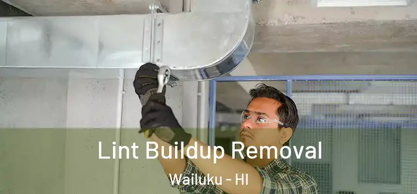  Lint Buildup Removal Wailuku - HI