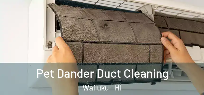  Pet Dander Duct Cleaning Wailuku - HI
