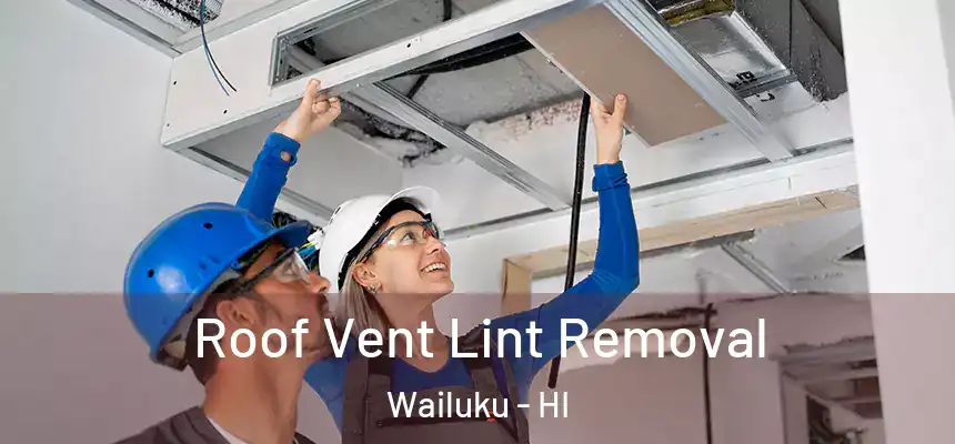  Roof Vent Lint Removal Wailuku - HI