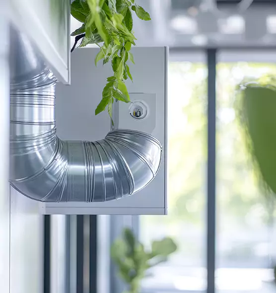 Professional Eco-Friendly Duct Cleaning Services in Wailuku, HI