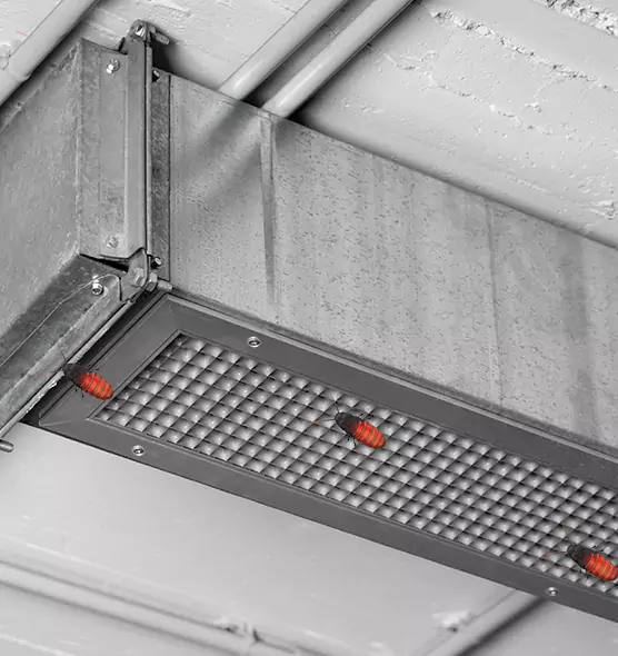 Affordable Insect Removal from Air Ducts in Wailuku, HI