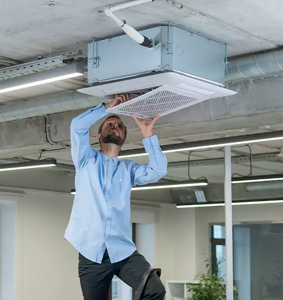 Advanced Rodent Droppings In Vents in Wailuku, HI