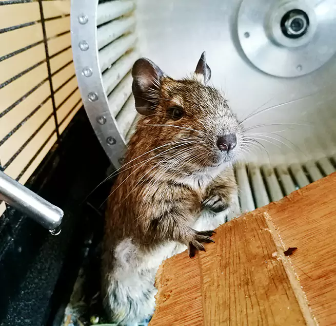 Why Homeowners & Businesses Trust Us Wailuku, HI