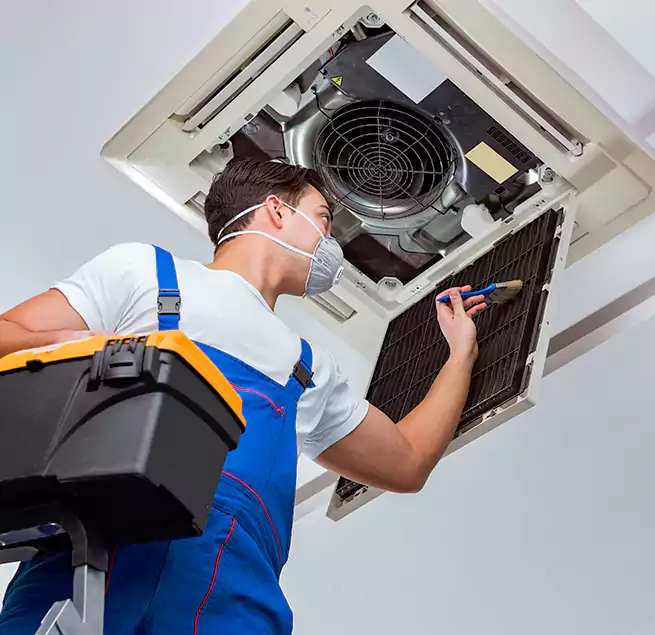 Why Homeowners & Businesses Trust Us in Wailuku, HI