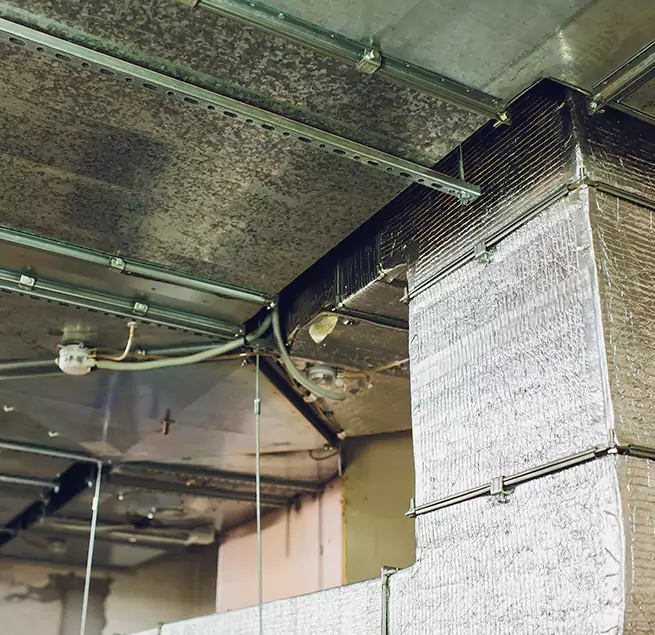 Why Homeowners & Businesses Trust Us in Wailuku, HI?