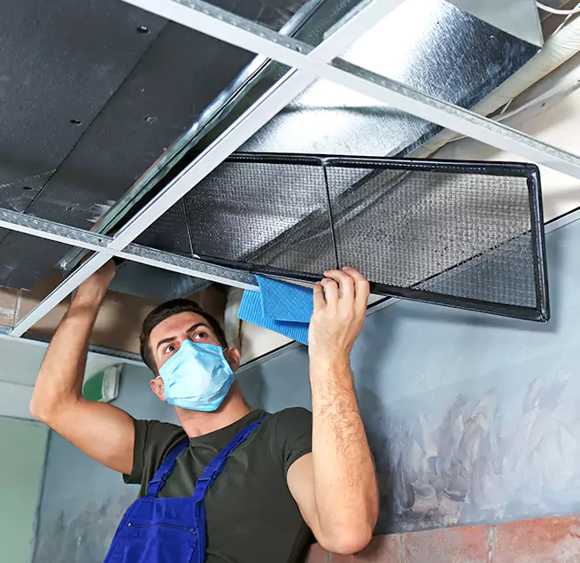  Why Homeowners Businesses Trust Us  in Wailuku, HI?