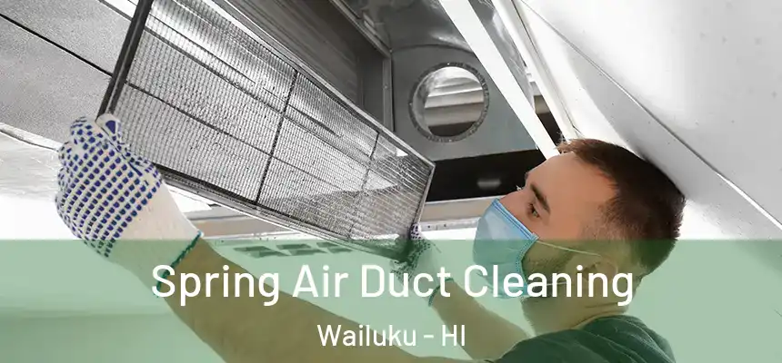  Spring Air Duct Cleaning Wailuku - HI