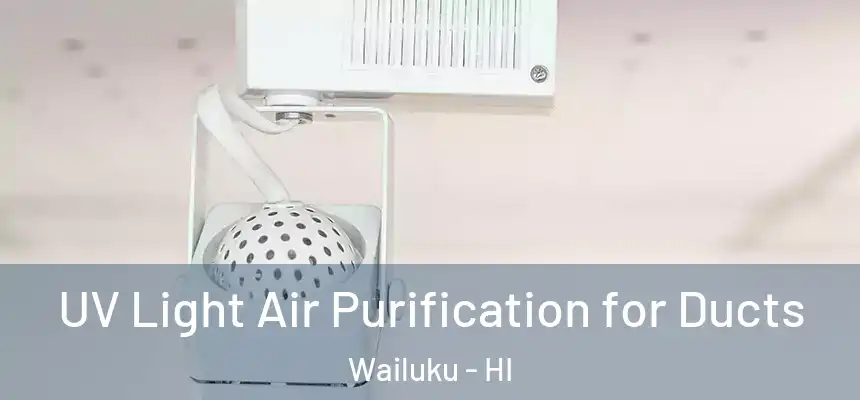 UV Light Air Purification for Ducts Wailuku - HI