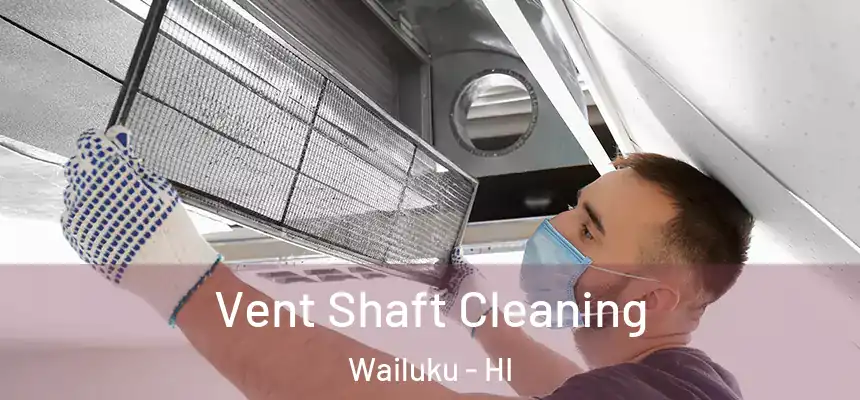  Vent Shaft Cleaning Wailuku - HI